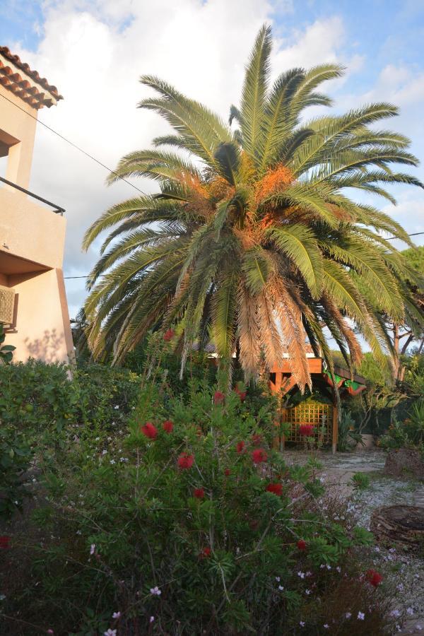 Apartamento Rose de Sel Hyères Exterior foto